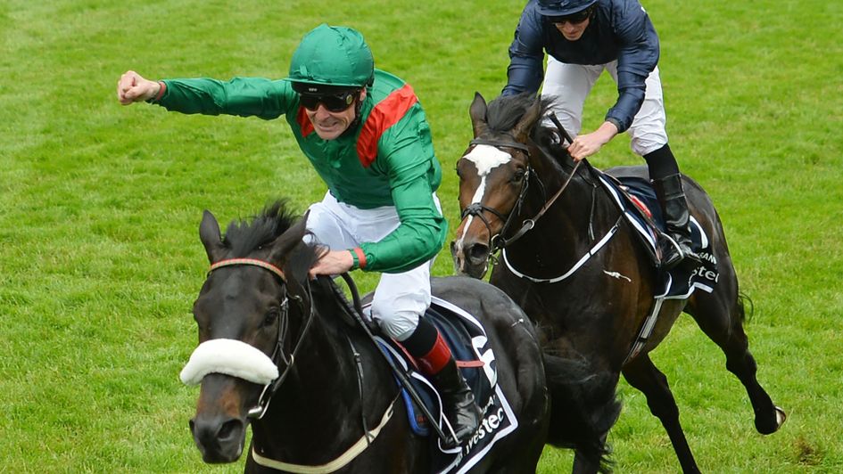 2016 Derby winner Harzand