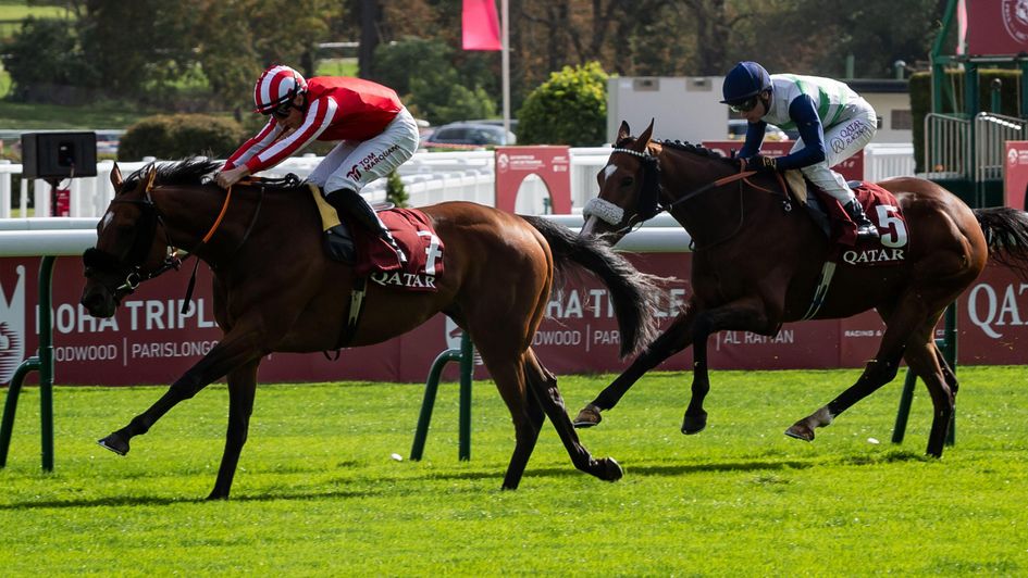 Caballo De Mar has the measure of Coltrane