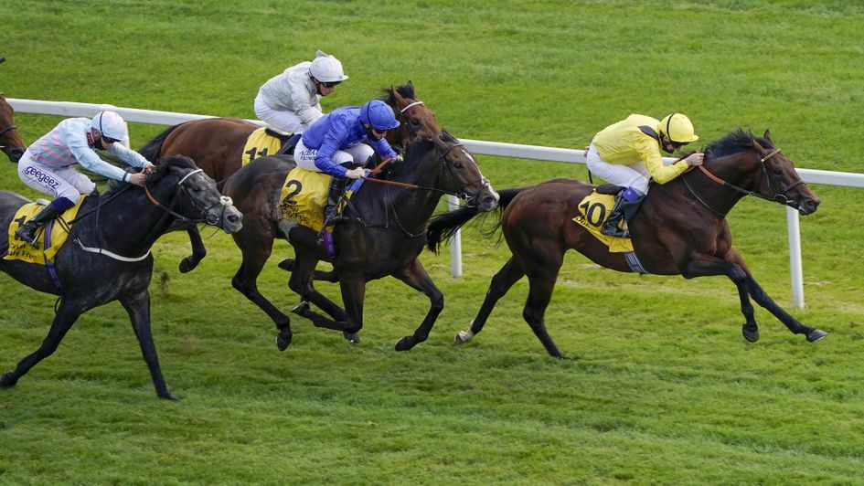 Ilaraab wins again at Newbury