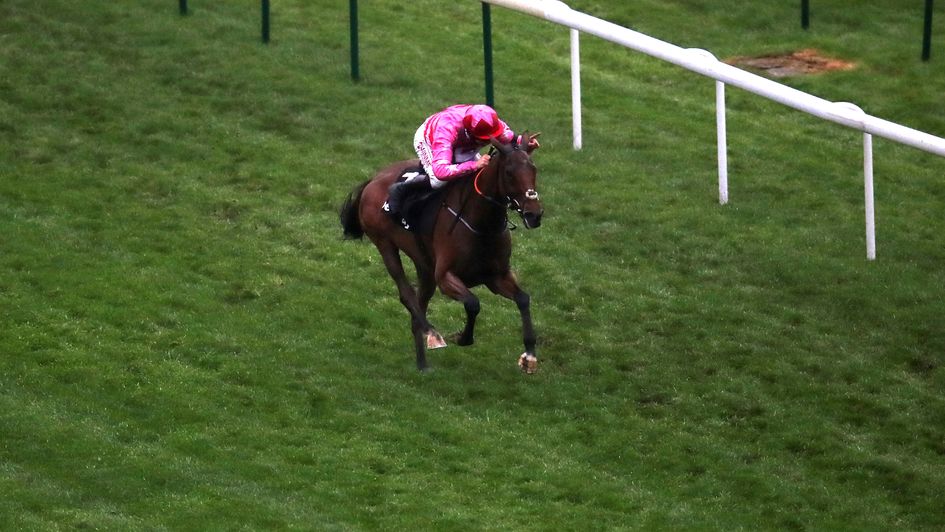 Brewin’upastorm wins at Aintree