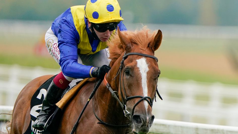 Dream Of Dreams - brilliant in the Hungerford Stakes