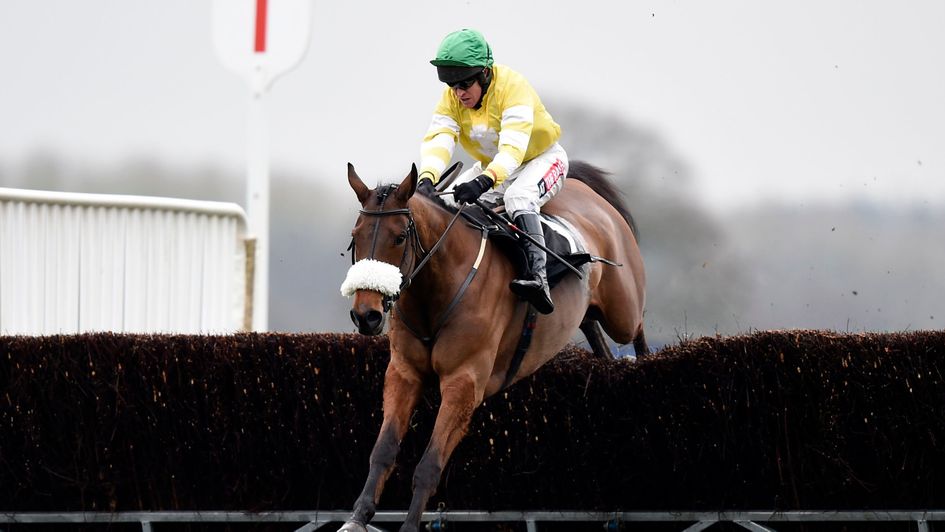 Carole's Destrier: Popular with our pundits