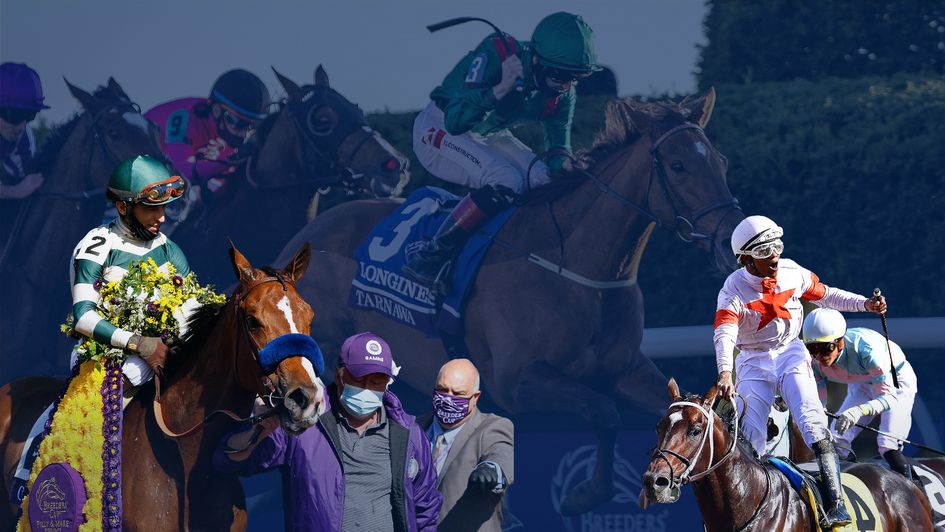 Who can you rely on to get the job done in Del Mar?