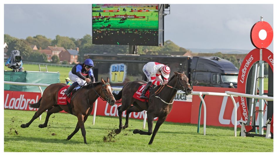Pellitory wins the Ayr Gold Cup