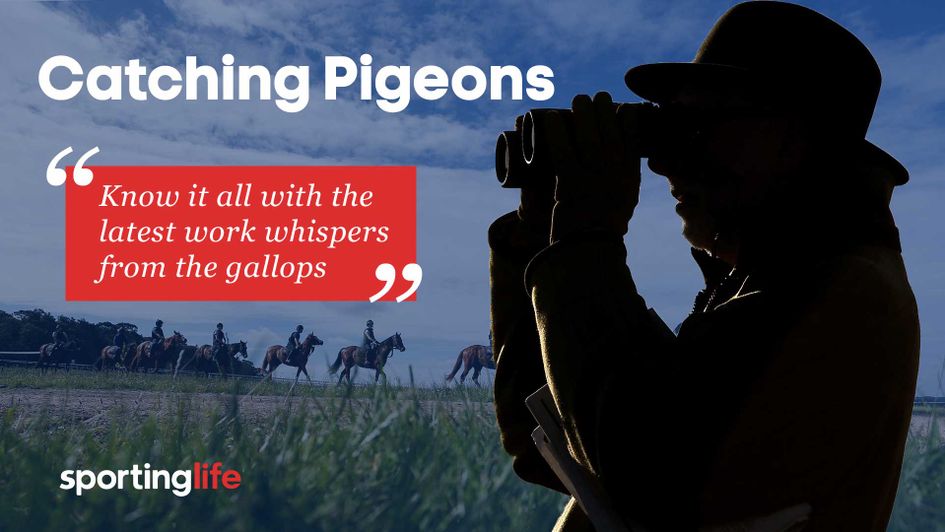 All the latest rumours and whispers from the gallops...