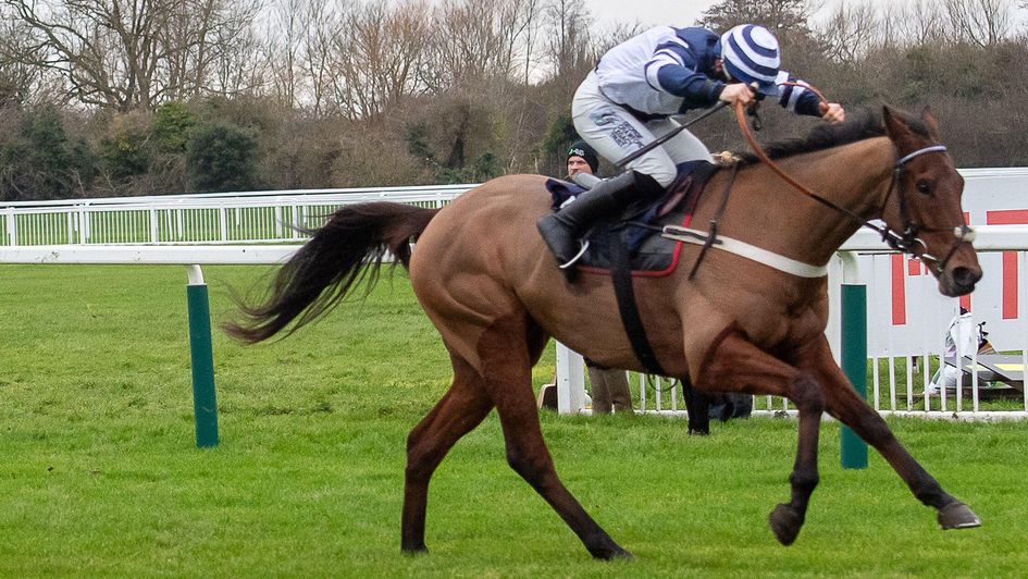 Vincenzo in full flow