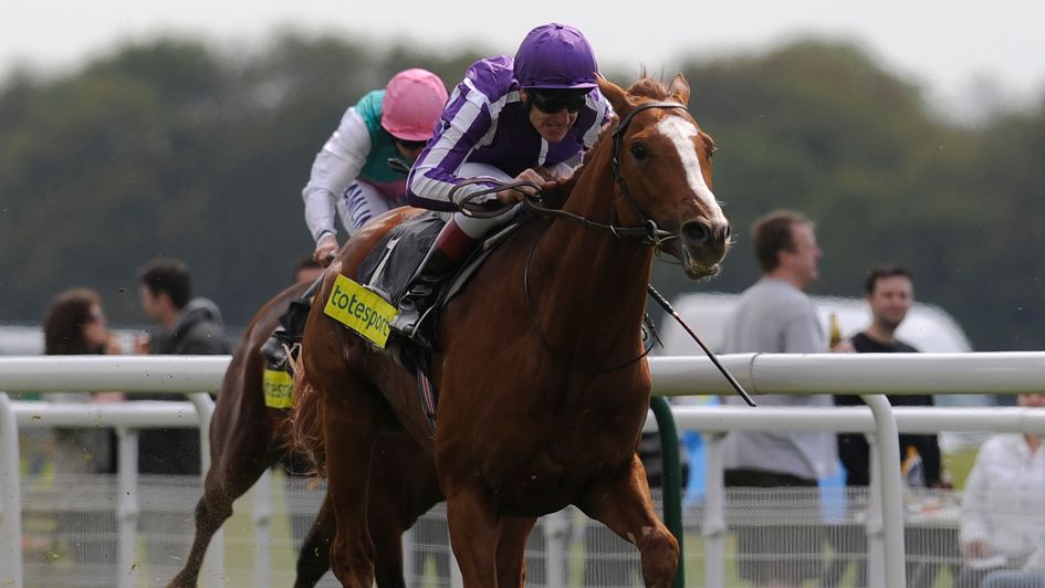 Cape Blanco is clear at Yorl