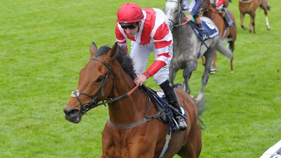 Lane and Sheikhzayedroad formed a fine partnership