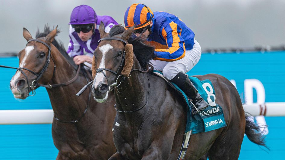 Scandinavia - stable number one for the Leger?