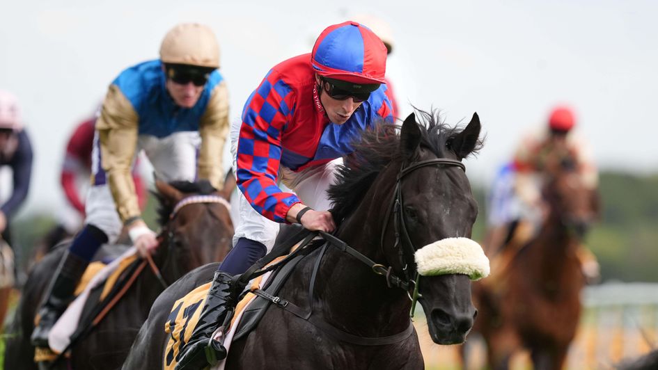 Big Mojo wins the Sprint Cup