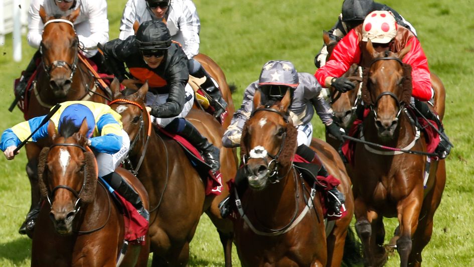 Growl (grey silks) and Eastern Impact (red sleeves) run on Saturday