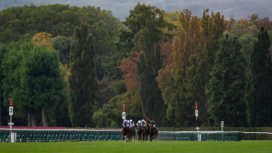 A scene from Longchamp