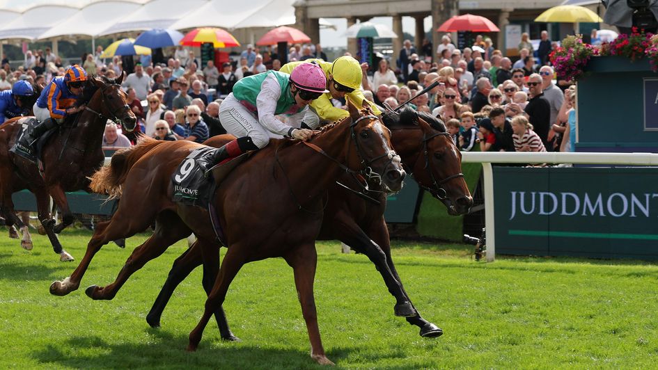 Item edged out Almaqam in the Juddmonte International