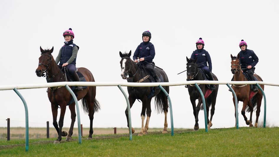 Crambo (left) leads the string