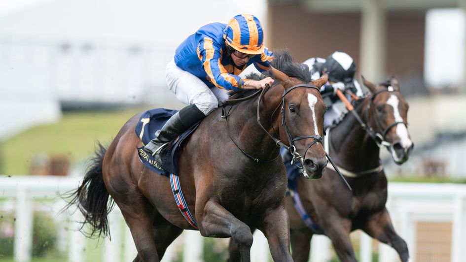 Battleground lands the Chesham Stakes