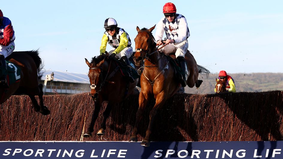 Galvin in action at the Festival