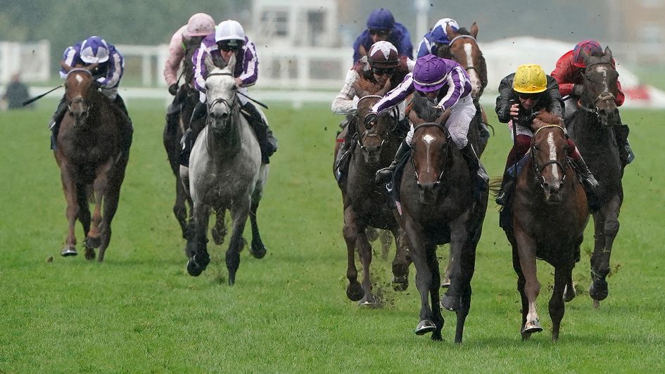 Kew Gardens just beats Stradivarius in a Champions Day thriller