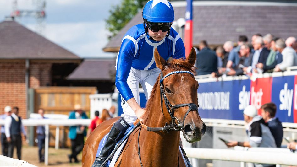 Cieren Fallon on Lake Forest