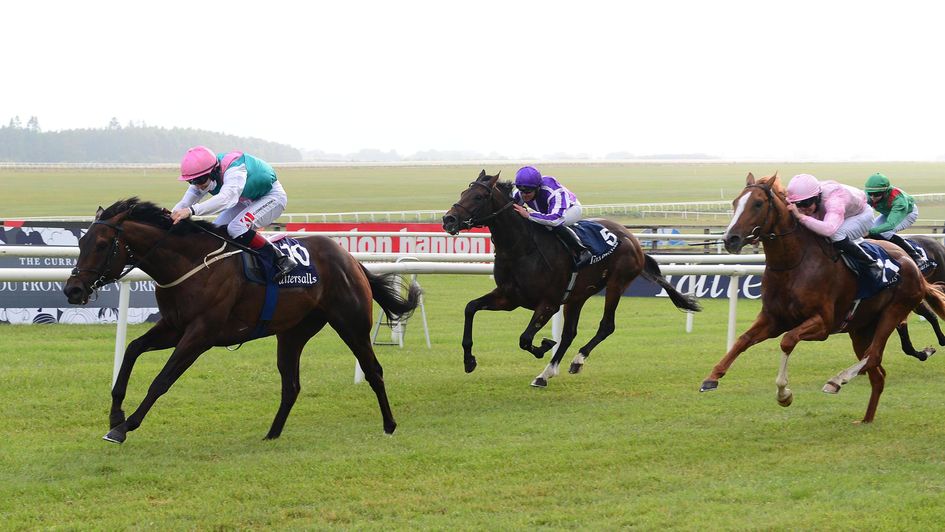 Siskin wins the Irish 2,000 Guineas from Vatican City