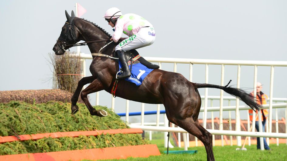 Camelia De Cotte and jockey Paul Townend jump the last