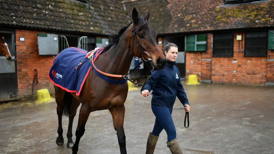 Threeunderthrufive pictured at Ditcheat