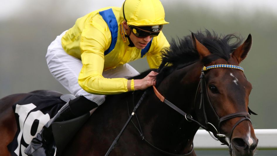 Young Rascal: Can run well in the Chester Vase