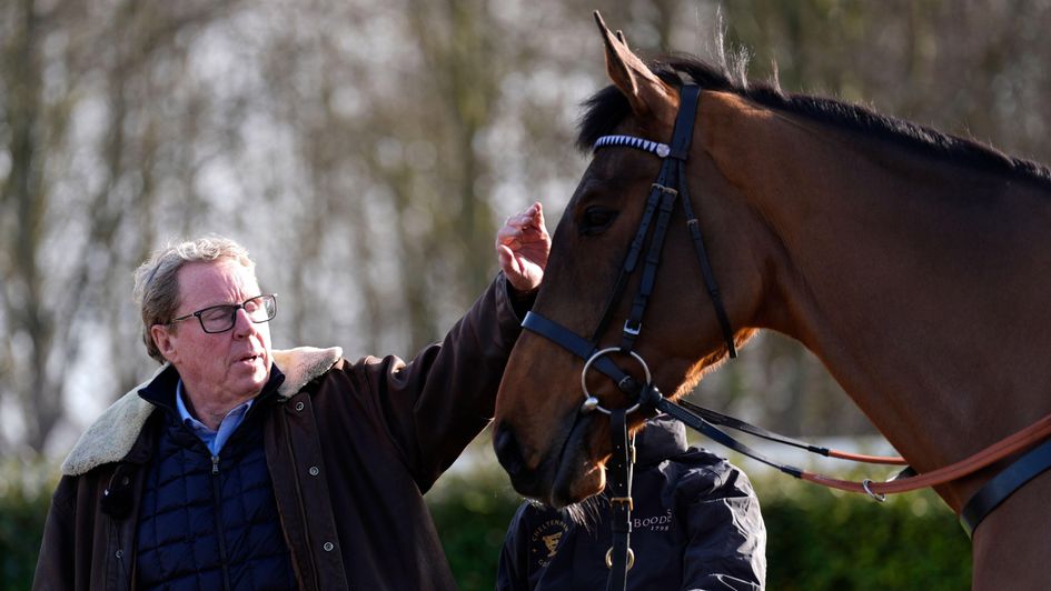 A pat for The Jukebox Man from his owner
