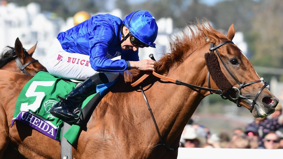 Wuheida won the Breeders' Cup Filly & Mare Turf at Del Mar