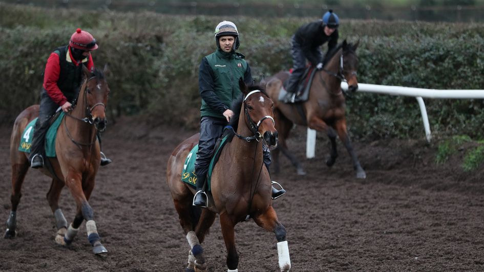 Footpad leading Invitation Only (left) at home