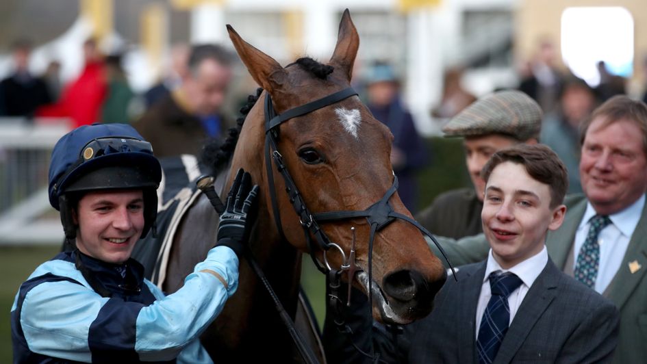 Indefatigable starred at Cheltenham in March