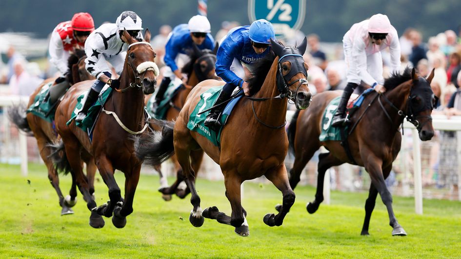Trawlerman beats stablemate Sweet William in the Lonsdale Cup
