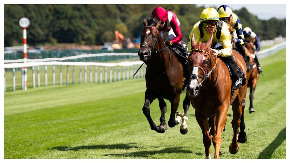 Sallaal wins well at Haydock