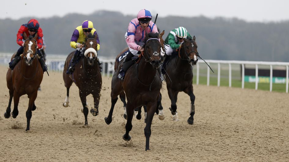 Checkandchallenge in charge at Newcastle