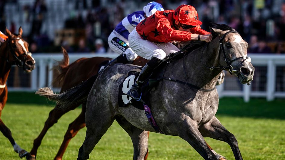 Silver Quartz in action at Ascot
