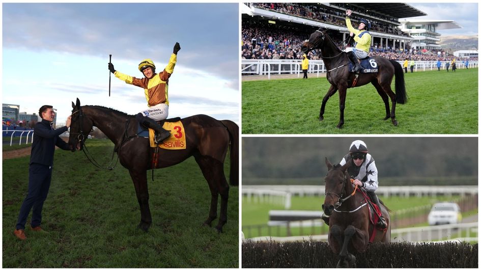 Some of the stars on show in Ireland this Christmas