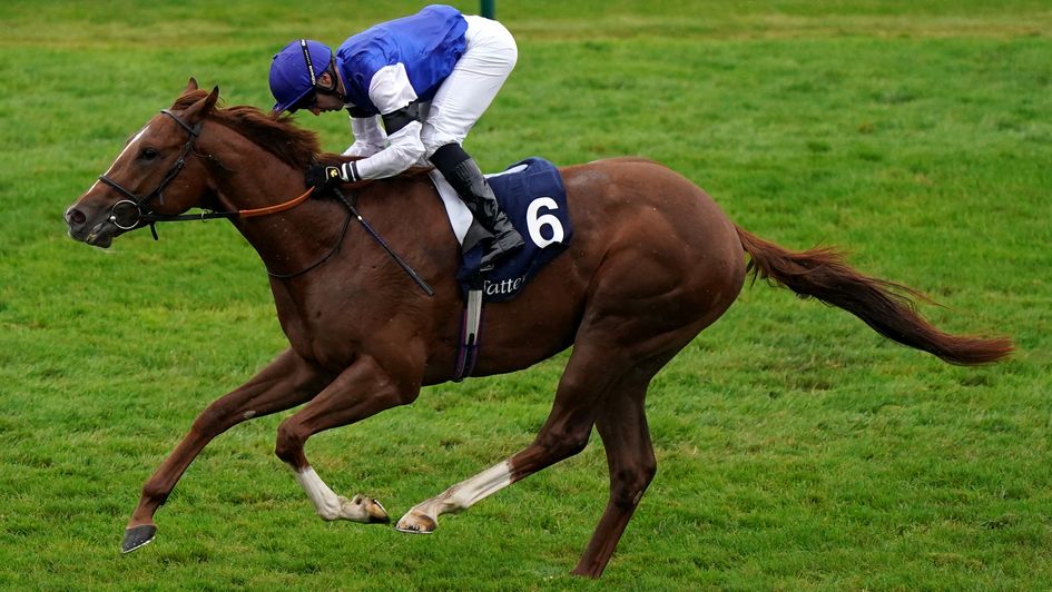Tatsumaki impresses at Newmarket