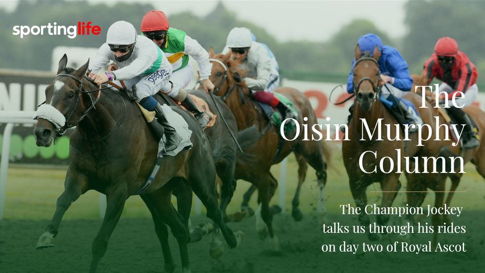 Berlin Tango goes for the Hampton Court on Wednesday