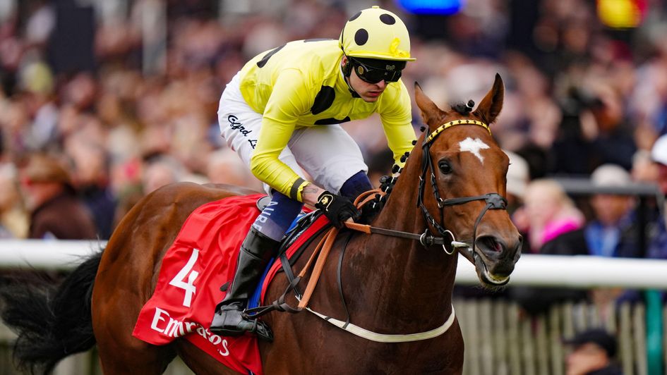 Hankelow wins the Autumn Stakes