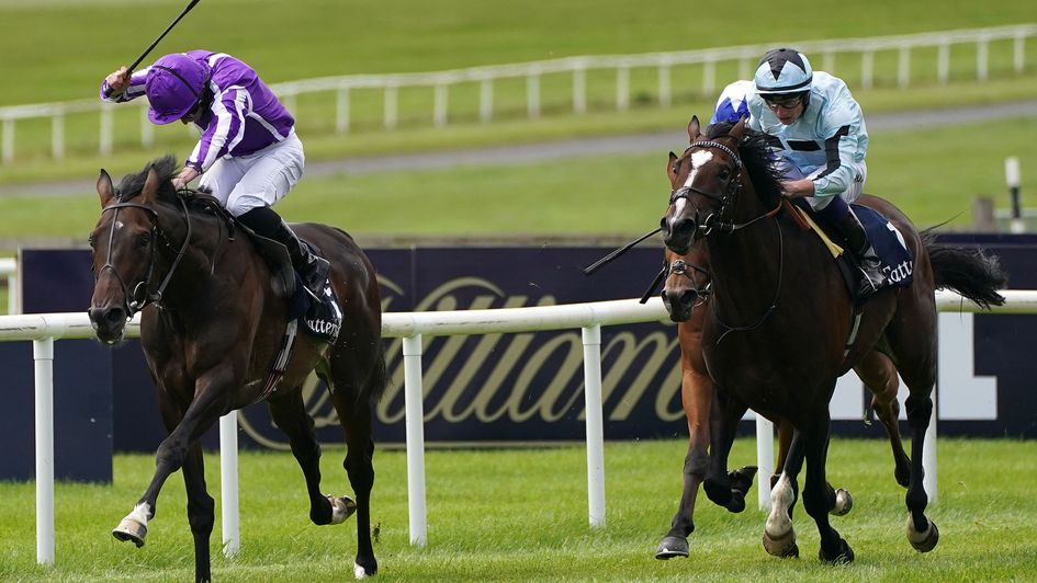 Alenquer comes to challenge High Definition in the final stages