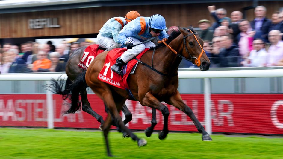 Ziggy's Phoenix wins the Lily Agnes