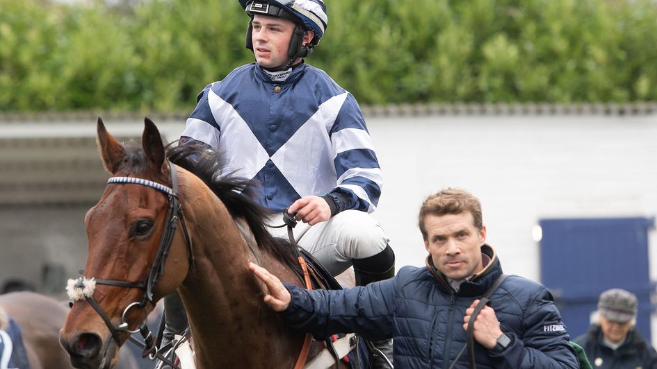 Vincenzo goes for Cheltenham glory this weekend