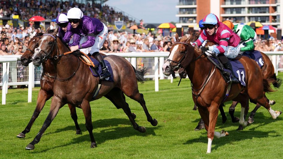 Hollywood Treasure wins at Newbury