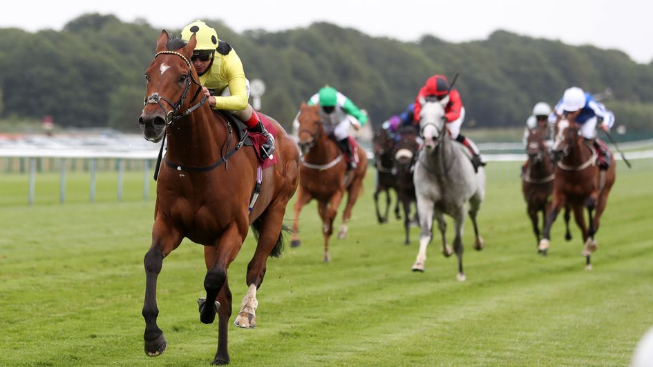 Finest Sound wins at Haydock
