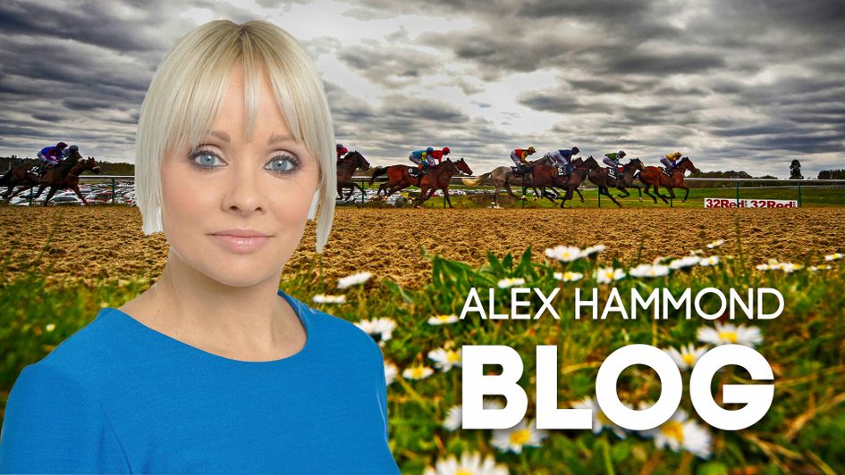Alex Hammond looks ahead to Lingfield's big day