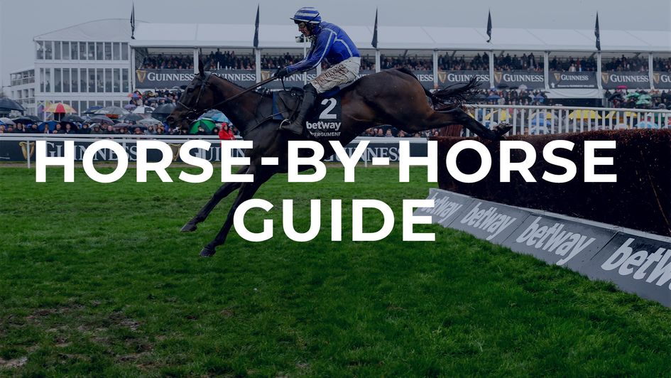 Horse by horse guide