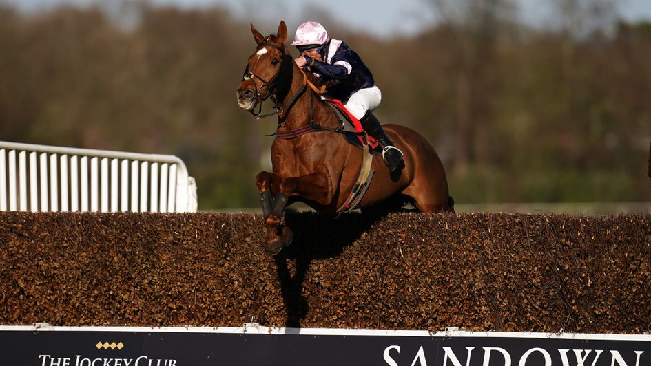 Rolling Dylan on his way to victory at Sandown