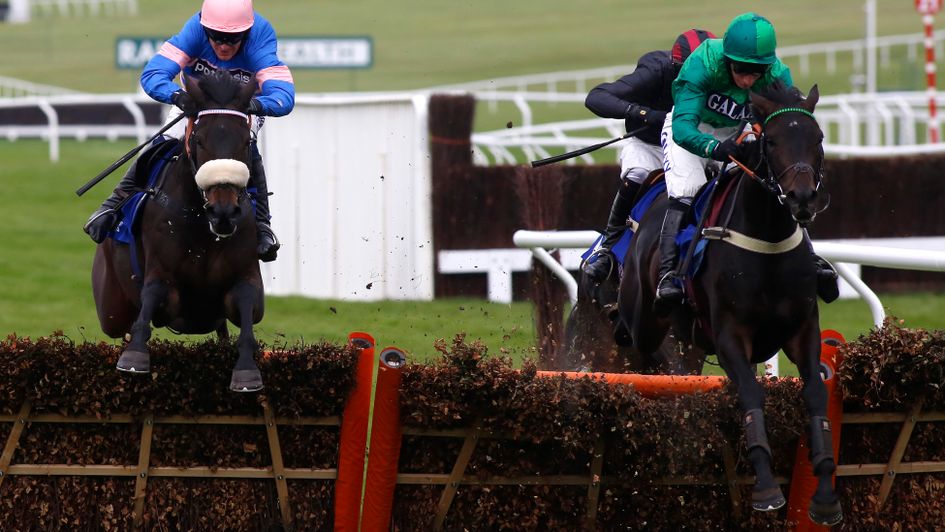 Sceau Royal (right): Goes novice chasing this week