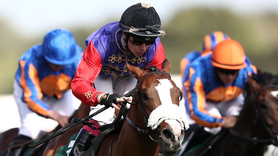 King's Lynn - exciting sprinter