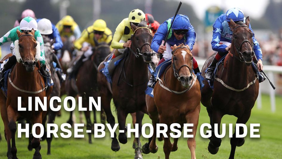 Check out our horse-by-horse guide to the Lincoln