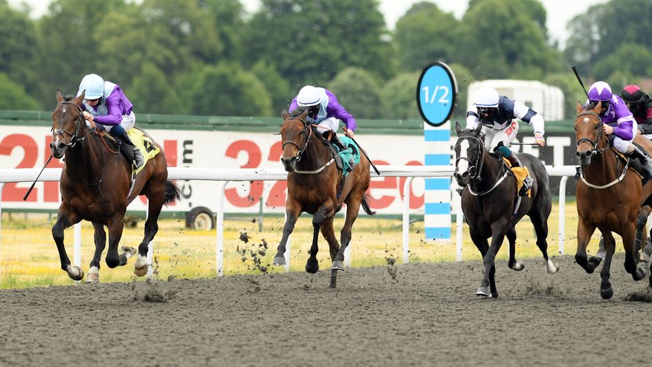 Never Dark goes for home in the opener